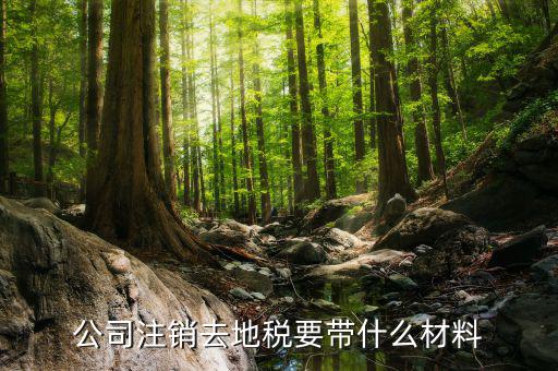注銷地稅需要帶什么資料，公司注銷去地稅要帶什么材料