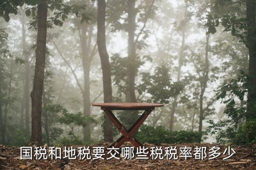 北京地稅按什么繳稅，地稅局都收什么稅