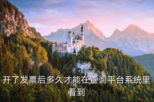 勾選平臺什么時候可以查到發(fā)票，已經(jīng)開具的專用發(fā)票多久才能在勾選平臺中查到