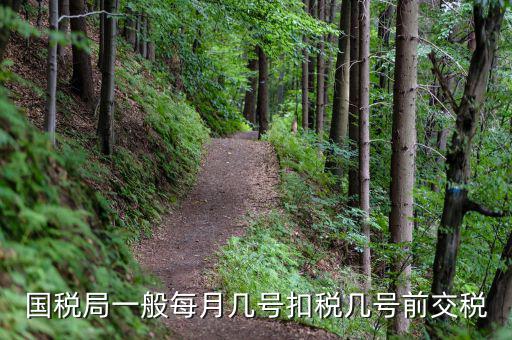 國稅什么時候扣，國稅每個月的扣稅日期最晚到幾號