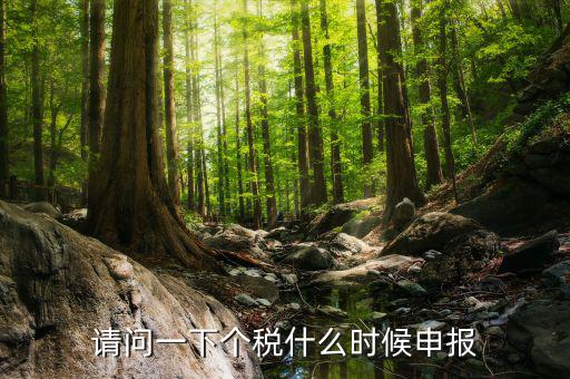 個稅什么時候開始申報，個人所得稅明細申報什么時候報