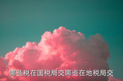 哪些稅在國(guó)稅局交哪些在地稅局交