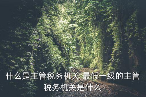 什么是主管稅務機關(guān) 最低一級的主管稅務機關(guān)是什么