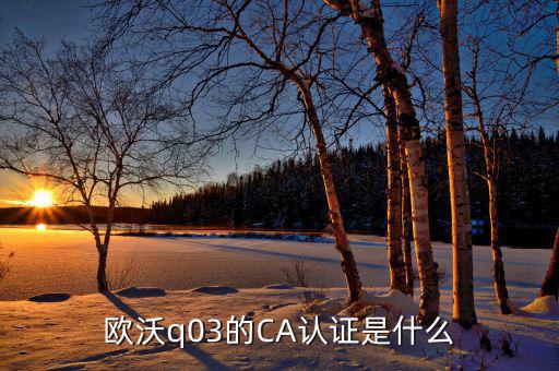 ca認(rèn)證密碼是什么情況，歐沃q03的CA認(rèn)證是什么