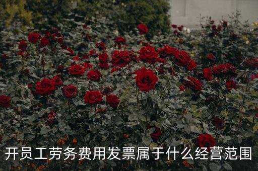 開員工勞務費用發(fā)票屬于什么經(jīng)營范圍