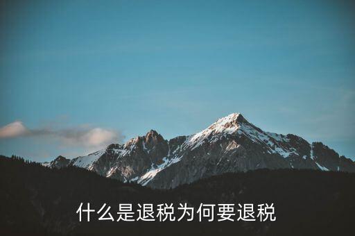 什么事退稅指標(biāo)，什么是退稅為何要退稅