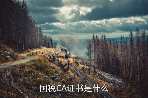 國稅密鑰和證書是什么意思，增值稅專用發(fā)票辦理秘鑰是什么意思