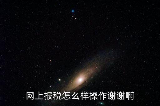 福建企業(yè)在什么網(wǎng)站報(bào)稅，網(wǎng)上報(bào)稅怎么樣操作謝謝啊