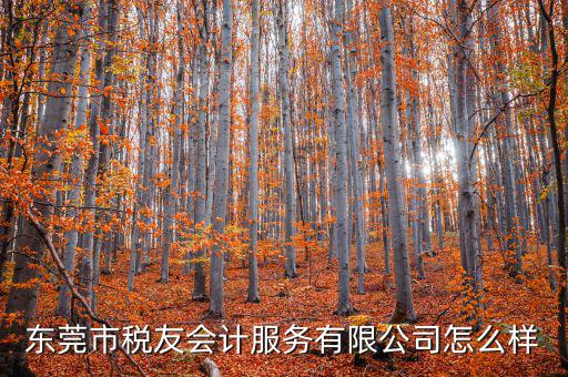 東莞稅友是做什么的，稅友集團是做什么的