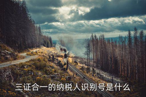 三證合一的稅號(hào)是什么，三證合一的納稅人識(shí)別號(hào)是什么