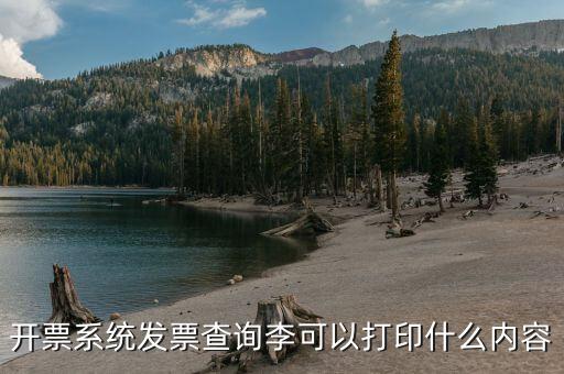 發(fā)票查詢什么內(nèi)容，通過發(fā)票可以查到買了什么東西嗎