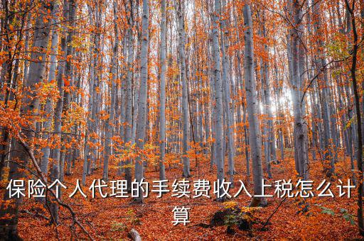 保險(xiǎn)代理員交什么稅，請(qǐng)問(wèn)從車(chē)輛保險(xiǎn)代理人的提承里扣的稅是什么稅啊