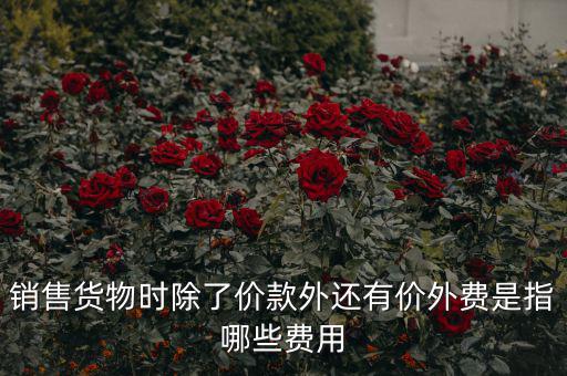 什么叫價(jià)外費(fèi)用，屬于價(jià)外費(fèi)用的是什么