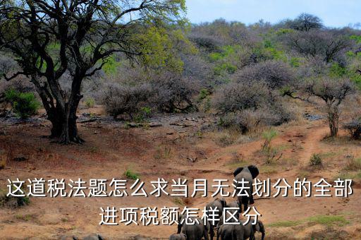 什么叫無法劃分的進(jìn)項稅額，一般納稅人兼營免稅項目或者非增值稅應(yīng)稅勞務(wù)而無法劃分不得抵