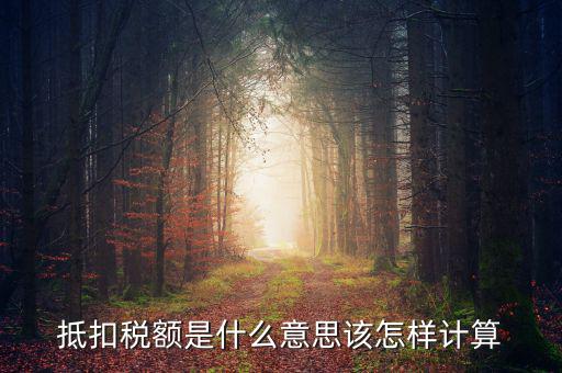 抵免稅額是什么意思，抵扣稅額是什么意思該怎樣計(jì)算