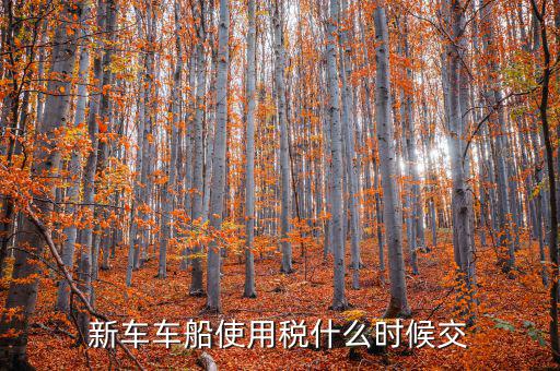 新車什么時候交車船稅，新車車船使用稅什么時候交