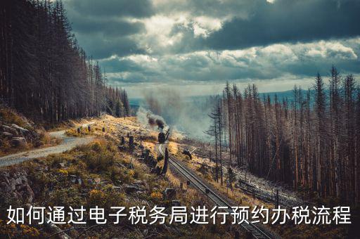 國稅局預約有什么，拿金稅盤去國稅前臺弄要預約嗎