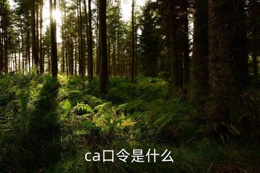 ca證書(shū)驗(yàn)證口令是什么，ca口令是什么