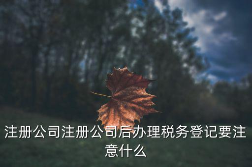 3 什么是扣繳稅款登記，什么是個稅扣繳義務(wù)人的扣繳稅款登記