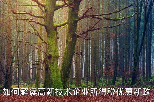 高新國(guó)稅什么讀，國(guó)稅局這幾個(gè)字的拼音字母怎么寫