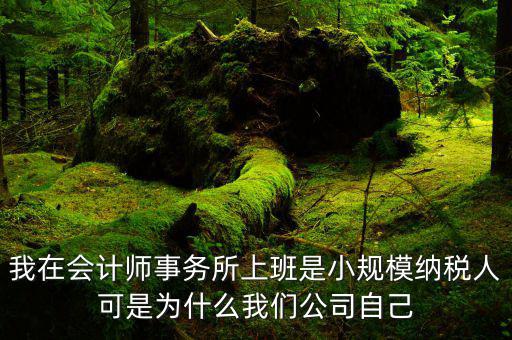 為什么一家公司既有增票又有普票，為什么有的企業(yè)既能開增值稅專用發(fā)票又能開增值稅普通發(fā)票