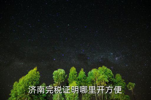 濟(jì)南市開完稅證明需要什么，申請出具地方稅務(wù)局完稅證明需要哪些資料