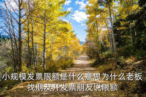 發(fā)票機為什么限額，稅控機顯示發(fā)票超出累計限額是什么原因