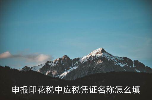 印花稅應(yīng)稅憑證名稱是什么，申報印花稅中應(yīng)稅憑證名稱怎么填