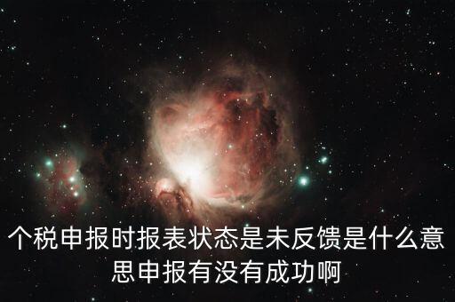 個稅申報(bào)時(shí)報(bào)表狀態(tài)是未反饋是什么意思申報(bào)有沒有成功啊