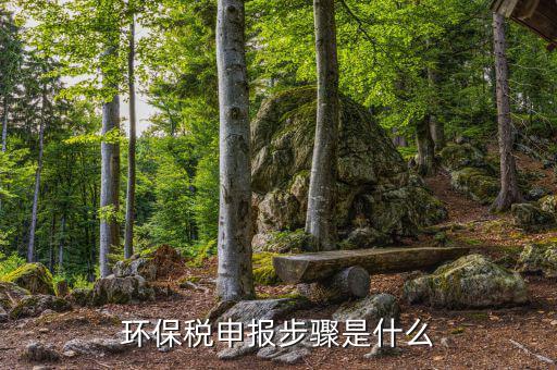 現(xiàn)在地稅填環(huán)保稅是什么，地稅一共有多少個稅種環(huán)保稅按什么基準繳稅