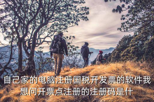 浙江網上稅務局注冊碼是什么意思，納稅人注冊碼是什么