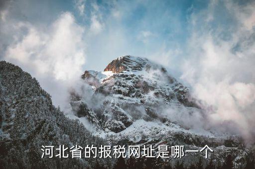 河北稅務(wù)官網(wǎng)是什么，怎么打開河北省國稅網(wǎng)站