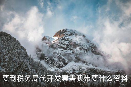 個人稅務(wù)局代開發(fā)需要什么資料，稅局代開發(fā)發(fā)票需要帶什么資料