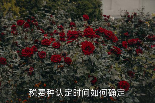 稅種認(rèn)定后什么時(shí)間申報(bào)，稅務(wù)局變更稅費(fèi)種認(rèn)定變更后多久可以可以報(bào)稅