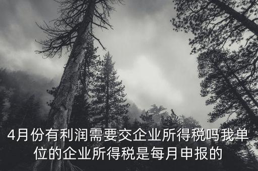 每年四月份要申報(bào)什么稅，我公司是一般納稅人四月份要申報(bào)兩個(gè)不同稅稅率的稅有一個(gè)可以