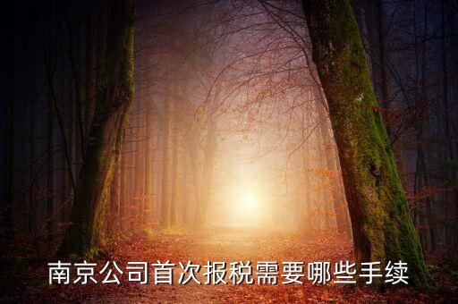 南京什么公司在地稅局交稅，哪些稅在國稅局交哪些在地稅局交
