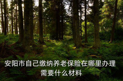 安陽(yáng)地稅局交個(gè)人保險(xiǎn)在什么地方，安陽(yáng)市醫(yī)保交費(fèi)在哪里地稅局