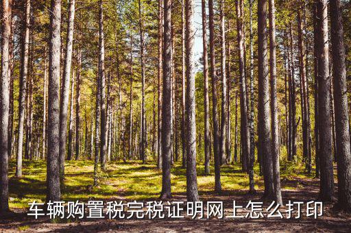 什么是購置稅完稅證明，車輛購置稅完稅證明是什么它在二手車交易中起什么作用