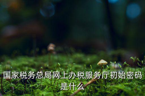 安徽個(gè)稅申報(bào)密碼是什么意思，國(guó)家稅務(wù)總局網(wǎng)上辦稅服務(wù)廳初始密碼是什么