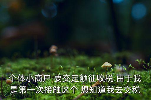 定額納稅到什么地方繳，定額征收的個體需繳納什么地稅