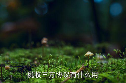 稅務(wù)第三方協(xié)議是什么，地稅局簽第三方協(xié)議 備案是什么意思