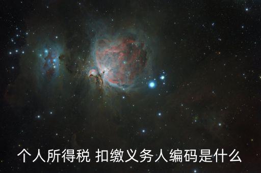 個(gè)稅稅種代碼是什么，個(gè)人所得稅編碼是多少怎樣填寫(xiě)