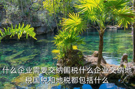 什么企業(yè)需要交納國(guó)稅什么企業(yè)交納地稅國(guó)稅和地稅都包括什么