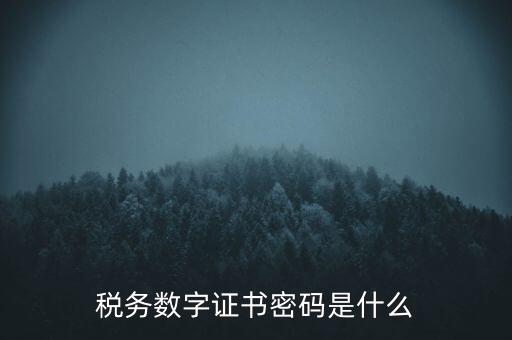 輸入稅務(wù)數(shù)字證書密碼是什么，稅務(wù)數(shù)字證書密碼是什么