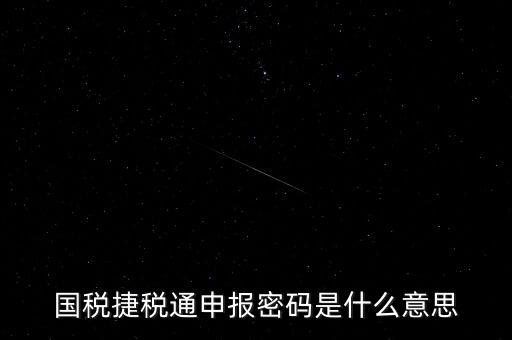 稅務(wù)軟件申報(bào)密碼是什么意思，納稅申報(bào)密碼是什么