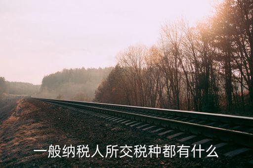 什么是納稅人稅種，一般納稅人所交稅種都有什么