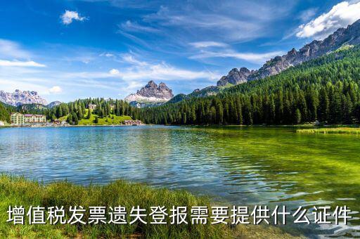 深圳地稅發(fā)票遺失要什么手續(xù)，遺失地稅服務(wù)業(yè)的發(fā)票該怎么辦