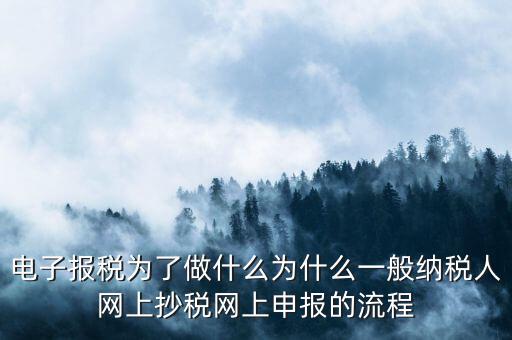 電子稅務(wù)申報(bào)是什么來的，電子申報(bào)納稅是怎么回事給報(bào)送紙質(zhì)申報(bào)材料一樣嗎