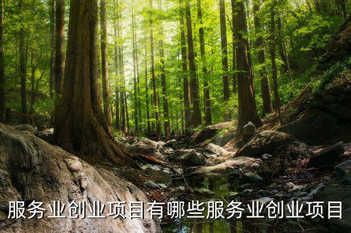 服務(wù)業(yè)有什么進(jìn)項，服務(wù)業(yè)營改增哪些可以抵扣