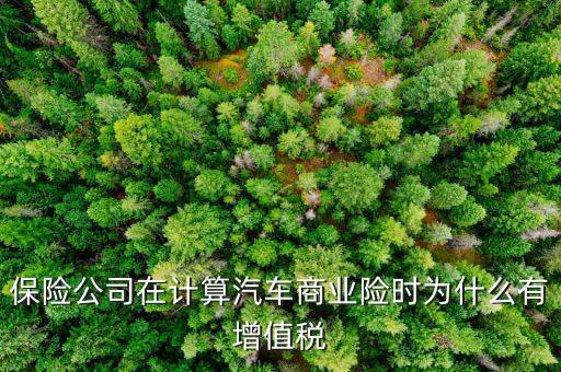 車輛保險增值稅是什么意思，保險公司在計算汽車商業(yè)險時為什么有增值稅